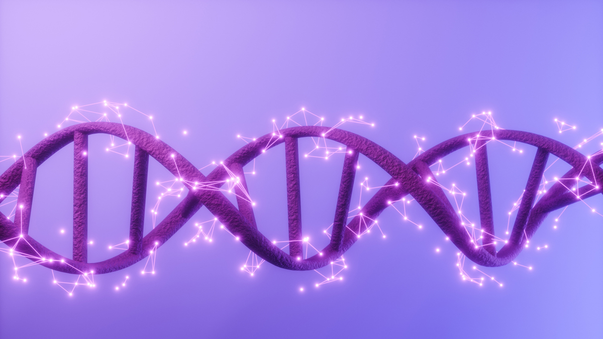 DNA Human DNA With Connection Dots And Plexus Lines